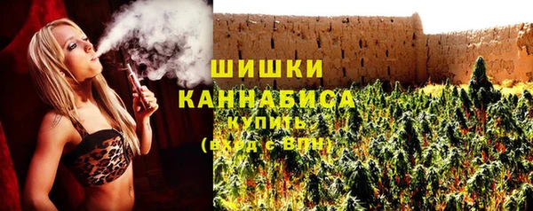 стаф Коряжма