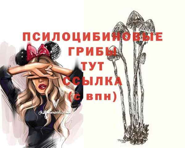 метамфетамин Краснослободск