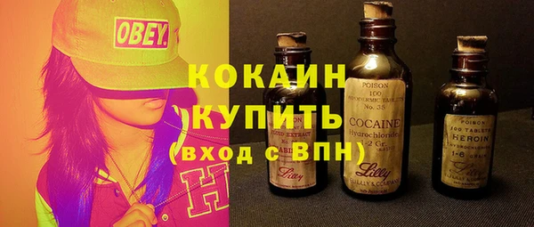стаф Коряжма