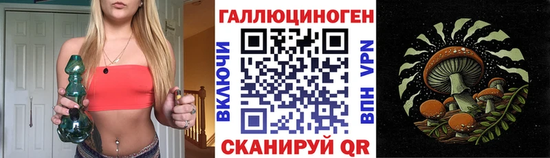 Купить где  Ревда  Галлюциногенные грибы Psilocybine cubensis 